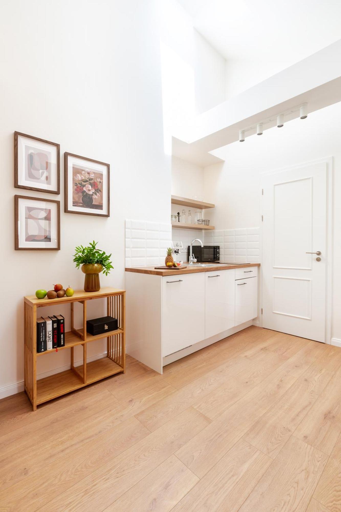 Turnkey I Antonin Dvorak Appartement Prague